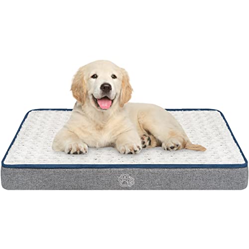 Top 10 Best Cool Beds For Dogs Reviews & Buying Guide Katynel
