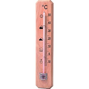 Technoline Thermometer, buche, 4,2 x 1,5 x 20 cm, WA 2020