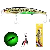 Disponible en varios colores diferentes, este señuelo de pesca también es ideal para peces depredadores gracias al escaneo 3D. Incluso los carnívoros más sospechosos no resistirán el brillo de esta cartilla.