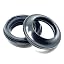 Dust Seals