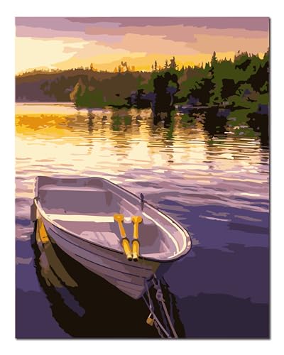 Peinture par numéros adultes débutants lac paysage kit complet Shukqueen