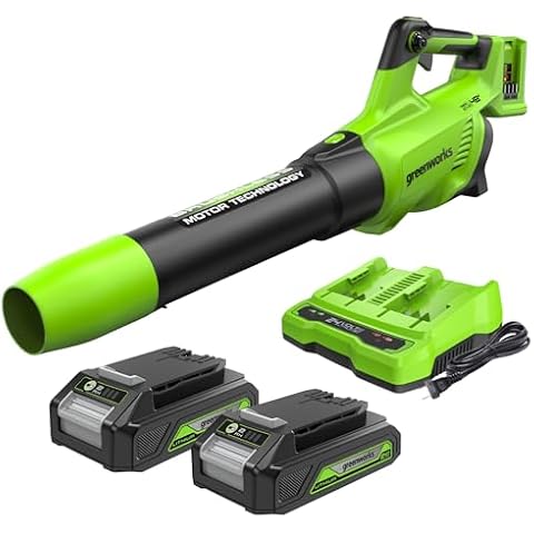 Souffleur à batterie Greenworks GD24X2ABK2X Cover