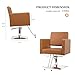 Bonnlo Salon Styling Chair for Hair Stylist Wide Seat, Hydraulic Barber Chair with Stainless Steel Footrest, Camel Hair Salon Chair Heavy Duty, Beauty Spa Cosmetology Shampoo Hairdressing Equipment