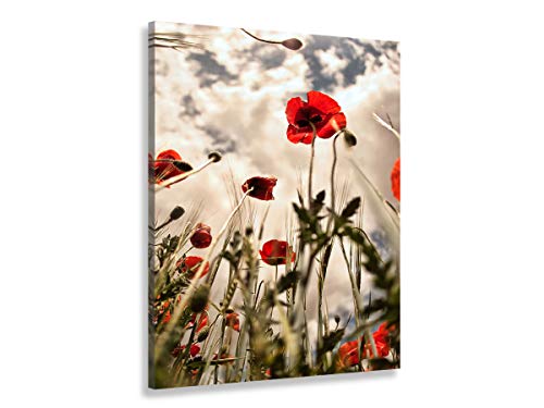 Hexoa Tableau coquelicots décoration murale moderne - Made in France - Toile imprimée - 30x50