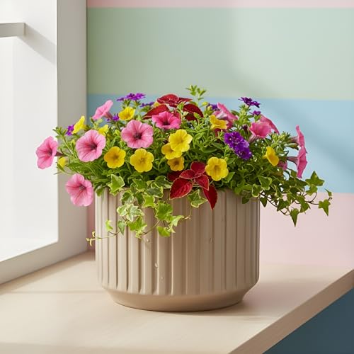Image of Xtore Refined Ribbed Ceramic Planter Pot for Indoor Plants | Contemporary Wide Flower Pot for Home, Office Desk & Balcony Decor (Brown - Planter only)