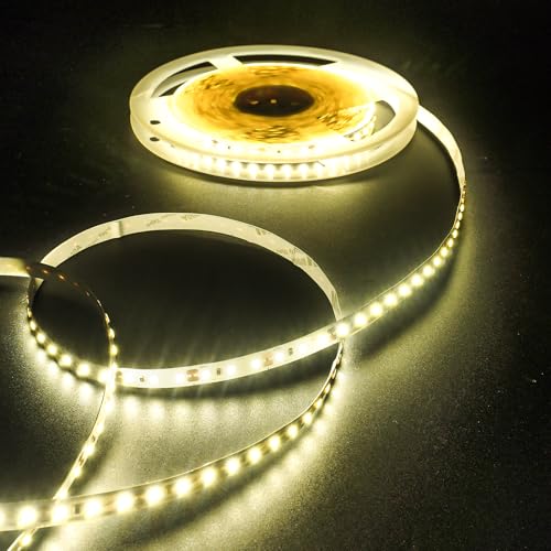 Fosingut Tira LED 10M,12V Tira de Luces