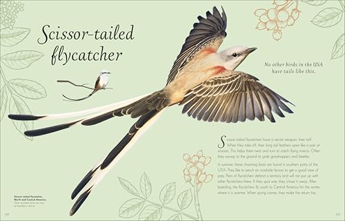An Anthology of Exquisite Birds (DK Children's Anthologies) - Image 8