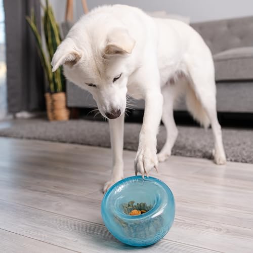 Outward Hound Large Snoop Interactive Treat Dispensing Dog Toy, Puzzle Ball Slow Feeder for Medium to Large Dogs, Mint-Scented for Mental Stimulation & Boredom Relief, BPA-Free, 5-Inch, Blue