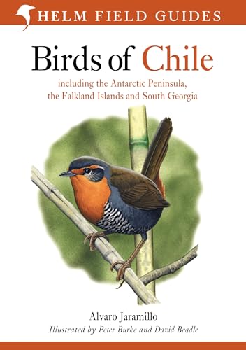 Field Guide to the Birds of Chile