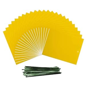 Gelbfalle,24 Pcs Gelbsticker Fliegenfalle Hängender Gelbtafeln Fruchtfliegenfalle Obstfliegenfalle, Gelb Doppelseitige Klebefallen Fliegenfänger für Fliegen Motten und andere Insekten, 10*20cm