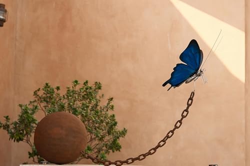 Astro-Insight for February 2-8, 2026