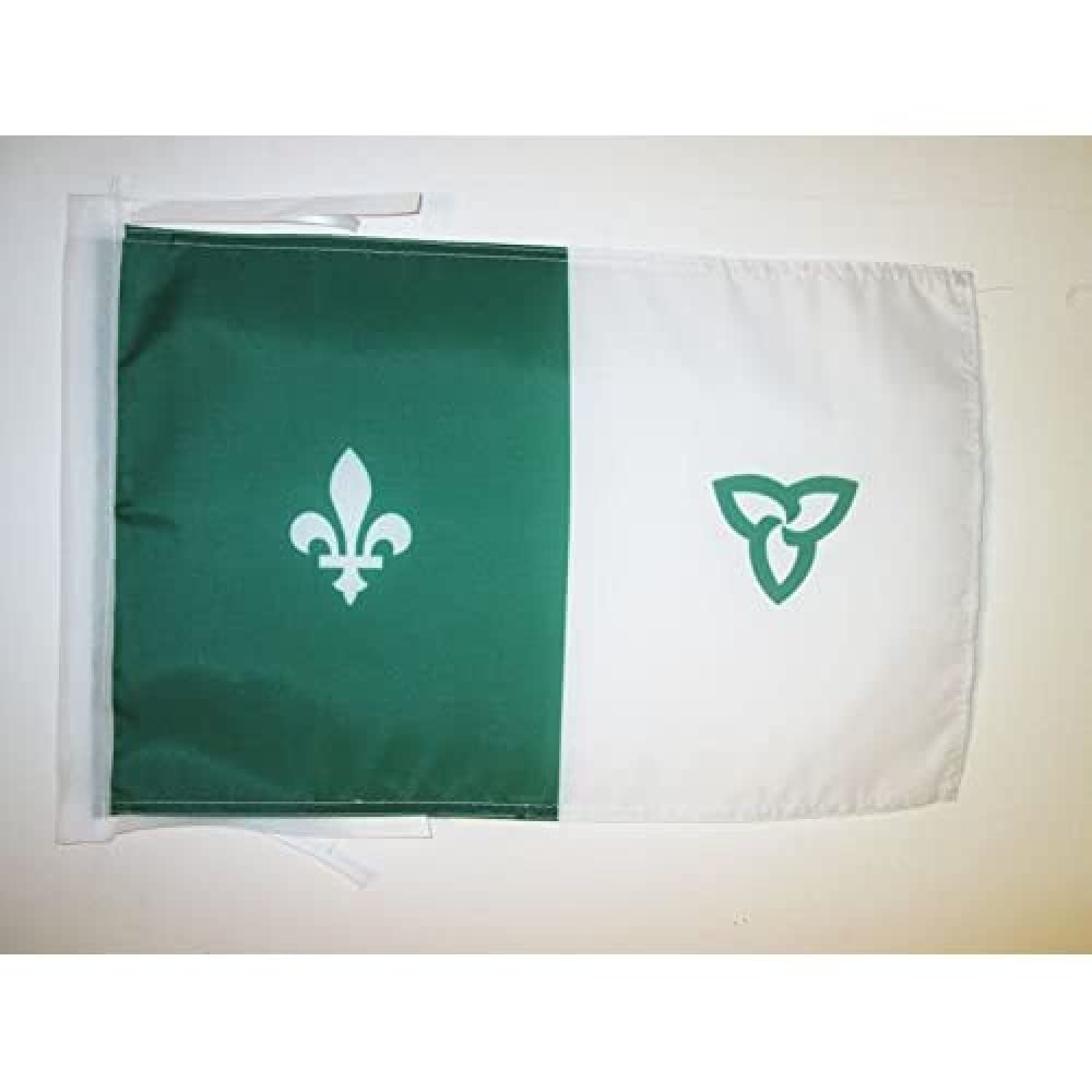 AZ FLAG, Franco-Ontarian Flag, 18'' x 12'', 100% Polyester Franco-Ontariens Small Banner with Two Cords, Fade Resistant