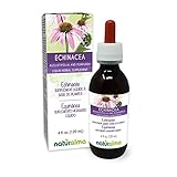 Naturalma Echinacea (Echinacea angustifolia and purpurea) Root and herb Alcohol-Free Tincture - 4 fl oz Liquid Extract in Drops - Herbal Supplement - Vegan