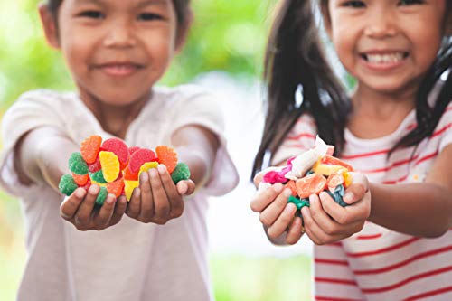 Sarah's Candy Factory Assorted Fruit Slice (3 Lbs in Jar)