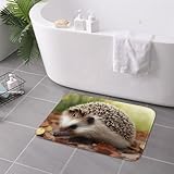 RLDOBOFE Doormat Hedgehog Front Door Mat Non-Slip Welcome Mats Washable Floor Mat Indoor Outdoor Entrance Mat Absorbent Guard Doormat for Kitchen Bedroom Bathroom Home Decor 16 x 24 Inch - Image 7