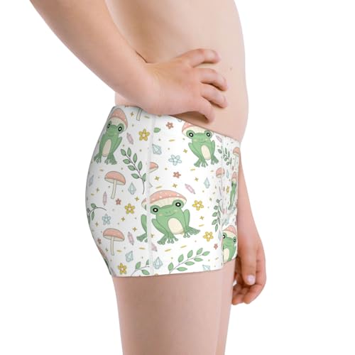Boys' Cotton Boxer Brief Soft Underwear-Frog And Mushrooms2