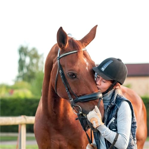 Licol de cheval rembourré ergonomique et confortable