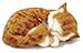 Produktbild Perfect Petzzz Katze, Plüsch, Orange Tabby The Breathing Puppy