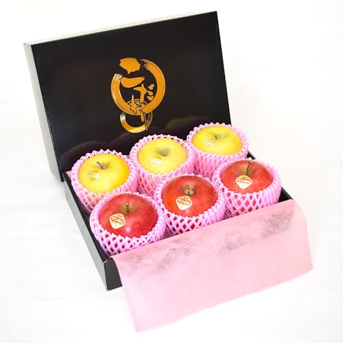 쌧Y  TӂVimS[h Hה lߍ킹 6 { S ь 쌧Y p ƒp  ϔ (6)