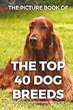The Picture Book of the Top 40 Dog Breeds for Seniors with Dementia and Alzheimer's Patients: Dog Breeds Photo Gift Book with Short Descriptions and Fun Facts in Large Print (6x9)