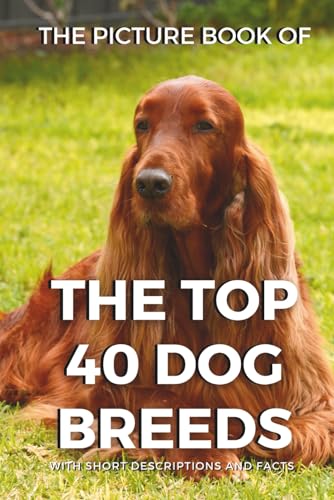 The Picture Book of the Top 40 Dog Breeds for Seniors with Dementia and Alzheimer's Patients: Dog Breeds Photo Gift Book with Short Descriptions and ... and Seniors with Dementia - Picture Books)