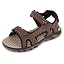 Brown Taupe