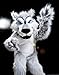 Anderson’s Gray Wolf Mascot Costume, Professional Wolf Full Body Mascot Suit with Foam Head, Built‑In Fan, Flame‑Retardant Fabric, Schools, Colleges, Sports Teams, Parades & Promotional Events
