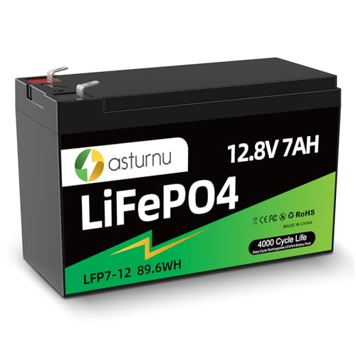 12V 7Ah/8Ah LiFePO4 Battery with BMS for Backup Power & Toys