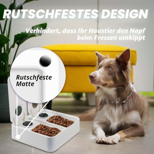 ALL FOR PAWS Automatischer Katzenfutterspender 2 Mahlzeit Hundefutterspender mit Eisbeutel, Für Trocken- und Nassfutter geeignet mit 48-Stunden-Timer, Spülmaschinenfest, (2-Mahlzeiten)