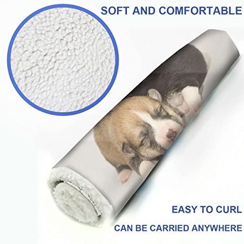 Brown Black White Self Heating Cat Pad Self Warming Cat Bed Funny Dog Dog Relaxing Self-Warming Cat Bed Super Soft Dog Bed Crate Bed Blanket Dog Lover 25" X 35" #TOP4