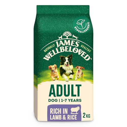 James Wellbeloved Dog Adult Hypoallergenic Dry Food Lamb and Rice 2 kg