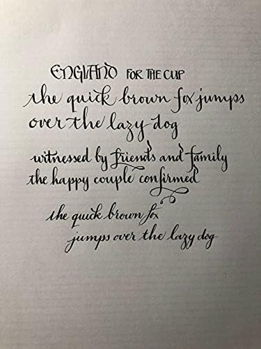 Shuga Manga Fountain Pen with Semi Flexible Maru nib (mapping pen). Demonstrator. Large Capacity Piston filled dip pen alternative (Clear)