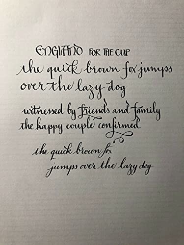 Inkursive Canetas-tinteiro manga com ponta Maru flexível (caneta de mapeamento). Demonstrador. Alter