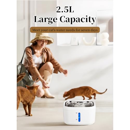 Fuente de agua automática para gatos 2.5L con batería miniatura 3