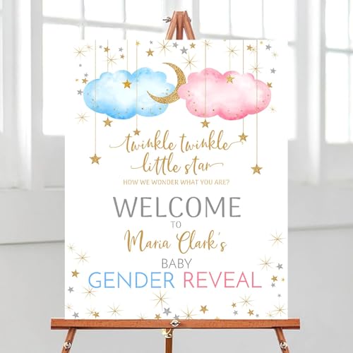Twinkle Twinkle Little Star Gender Reveal Welcome Sign Pink Blue Gender Reveal Sign Welcome to Gender Reveal Sign Gender Reveal Yard Sign Welcome Signs for Gender Reveal