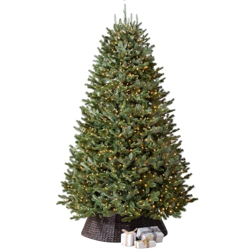 BH Fraser Fir 7.5ft