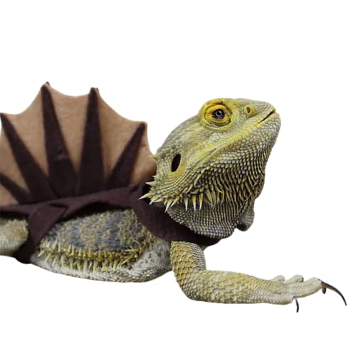 Disfraz para dragón barbudo hecho a mano miniatura 5