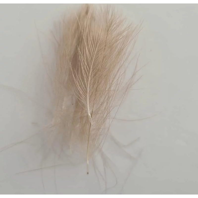 Pluma Cul de Canard CDC Natural Salvaje Gris Claro AVELLANADO Natural Light Dun para EL Atado DE Moscas,NINFAS Y PERDIGONES CANTIDAD 1 GRAMO