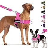 Lukovee No Pull Dog Harness & Leash Set - Heavy Duty Dog Vest Harness with Soft Padded for Medium Large Dogs, Adjustable Reflective Tactical Pet Harness for Easy Walk and Training (XL, FU)