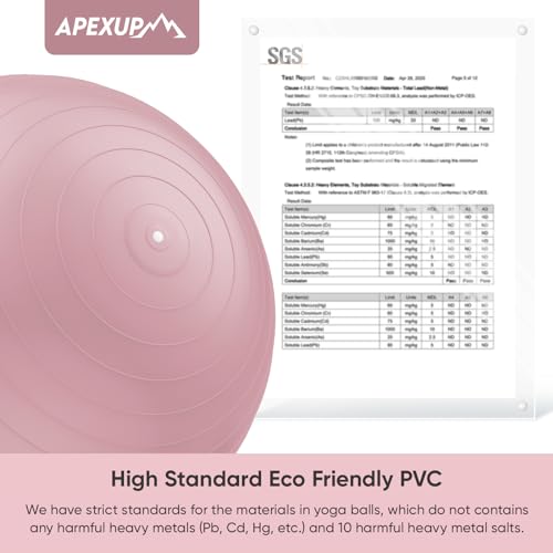 Image of APEXUP Yoga Ball, 660 lbs Anti-Burst Exercise Ball with Pump, 5 Sizes