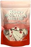 Freeze Dried Oregon Strawberry Ice Cream 2.5oz