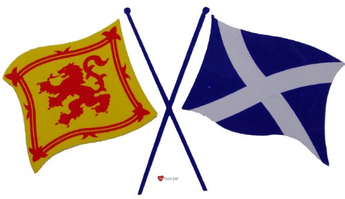 I Luv Ltd Multicoloured Lion Rampant And Saltire Cross Flags Sticker
