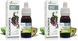 Soria Natural Extracto de Alcachofa - Alivia la Pesadez, Favorece la Digestión, Apoya la Salud Hepática y Cardiovascular - 100% Puro - Complemento Alimenticio Natural - Botella con 50ml (Paquete de 2)