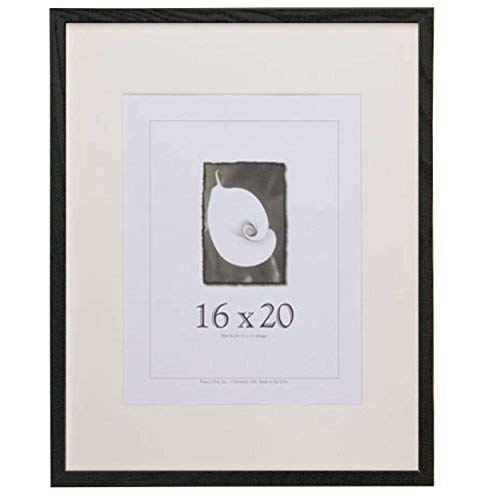 Frame USA Architect Series 16x20 Wood Photo and Art Frames (Black)