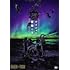 「ナイショの薔薇の下 2024」(通常盤 / DVD)