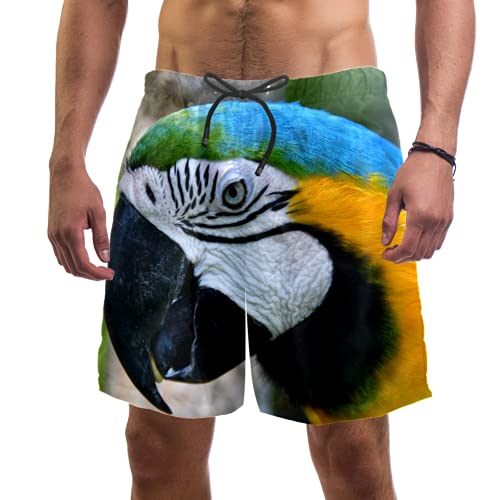 Short de bain pour homme avec doublure maille multicolore respirant M