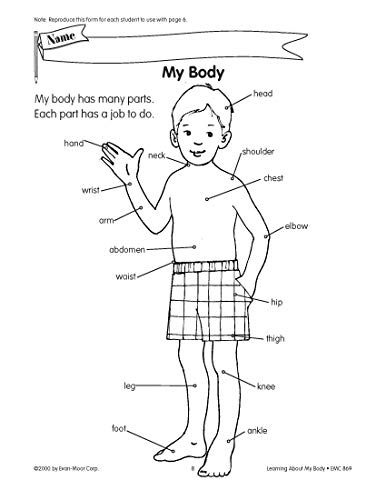 Learning About My Body (Scienceworks for Kids) - Image 5