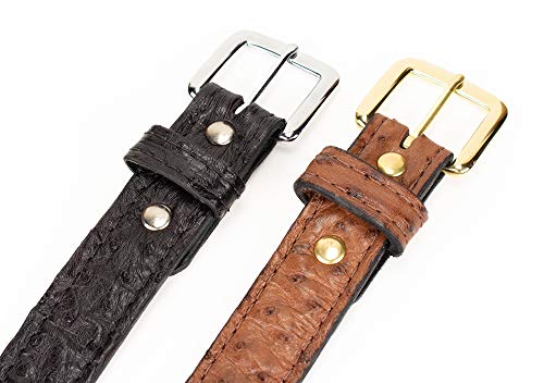 Genuine Ostrich Skin Leather Belt2