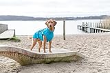 TRIXIE Regenmantel Vimy für Hunde türkis L - Bauchumfang: 60 - 85 cm – Hunde-Regenjacke mit reflektierenden Elementen für mehr Sichtbarkeit im Dunkeln – bequem & verstellbar - 680206