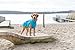 TRIXIE Regenmantel Vimy für Hunde türkis L - Bauchumfang: 60 - 85 cm – Hunde-Regenjacke mit reflektierenden Elementen für mehr Sichtbarkeit im Dunkeln – bequem & verstellbar - 680206